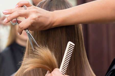 Womens hairdresser, beauty salon. Professional stylist cuts female hair in salonの写真素材