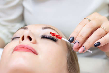 Eyelash extension procedure. Beautiful woman with long eyelashes in a beauty salon. Eyelashes close up. brush in the handsの写真素材