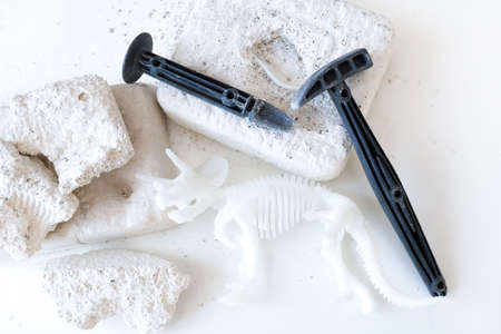 Dinosaur excavation game on a white background. Dinosaur skeleton, bones, hammer and chisels.の写真素材