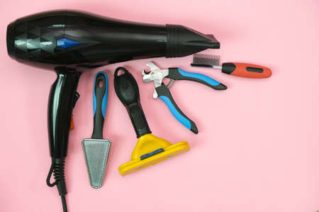 pet care and grooming tools on a pink background. pet care and hygiene conceptの写真素材