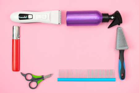 pet care and grooming tools on a pink background. pet care and hygiene concept. Copy space, place for your text. mock upの写真素材