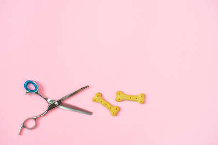 pet care and grooming tools on a pink background. pet care and hygiene concept. Copy space, place for your text. mock upの写真素材