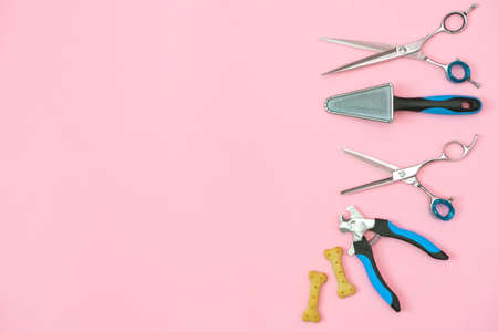 pet care and grooming tools on a pink background. pet care and hygiene concept. Copy space, place for your text. mock upの写真素材