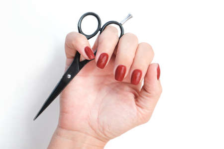 Barber shop. Barber hand holding scissors. Barber professional toolsの写真素材