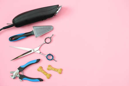 pet care and grooming tools on a pink background. pet care and hygiene concept. Copy space, place for your text. mock upの写真素材