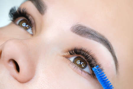Eyelash extension procedure. Woman eye with long eyelashes. Close up