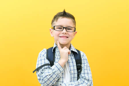 eureka, handsome little boy in glasses is surprised, inspired, i have an idea, raise your index finger up, copy space, isolated on yellow background. school boyの写真素材