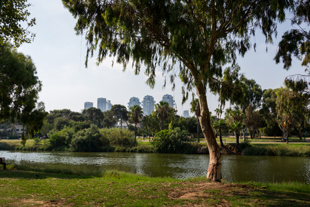 A walk in Tel Aviv, Israelの写真素材