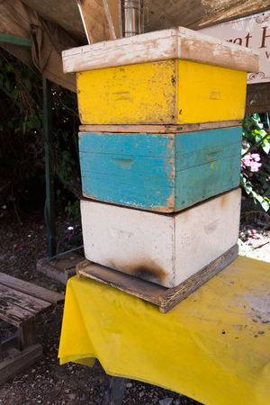 At Dvorat Hatavor visitor center, Israelの写真素材