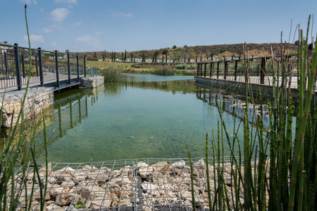 Visit to Hiriya (Ariel Sharon park), Israelのeditorial素材