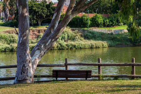 A walk in Tel Aviv, Israelの写真素材
