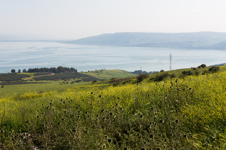 Korazim National Park, Israelの写真素材