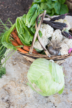 Basket full with fruits and vegetables at Bethlehem of Galileeの写真素材