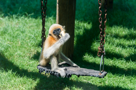 Visiting Hay Park in Kiryat Motzkin, Israelの写真素材