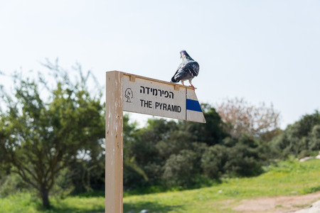 Hike at Midras Ruins, Israelの写真素材