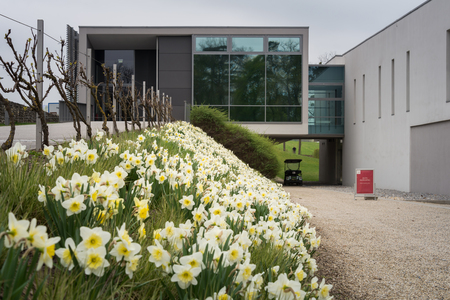 Visit to Carnuntum Archaeological Park, Austriaのeditorial素材