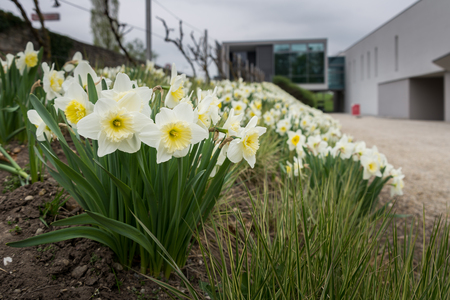 Visit to Carnuntum Archaeological Park, Austriaのeditorial素材