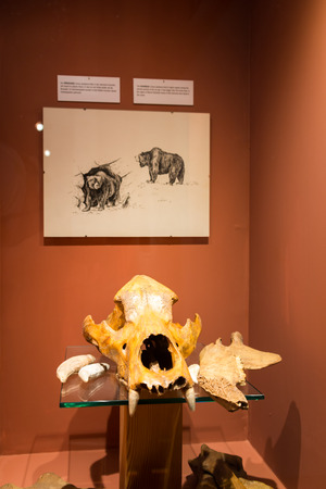 Visit to Hallstatt village  in Austriaのeditorial素材