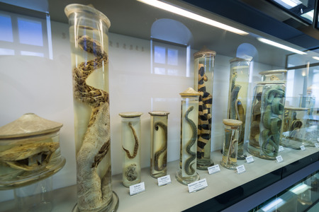 Visit to Admont Abbey  in Styria, Austriaのeditorial素材