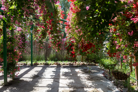 Visit to Utopia Orchid Park in Israelの写真素材