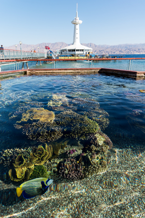 At Coral World Underwater Observatory in Eilat, Israel