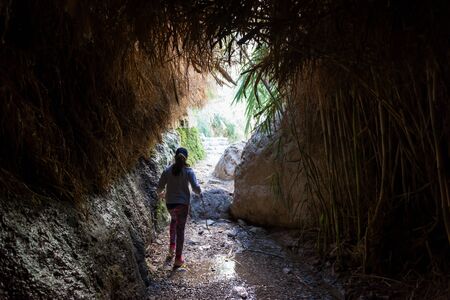 Ein Gedi National Park at Southern Israel, during winter