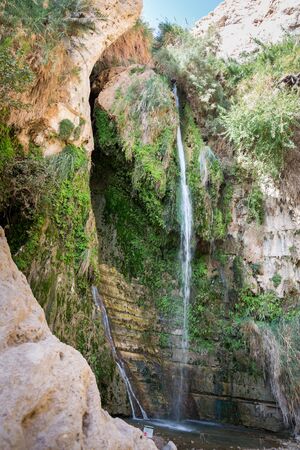 Ein Gedi National Park at Southern Israel, during winterの写真素材