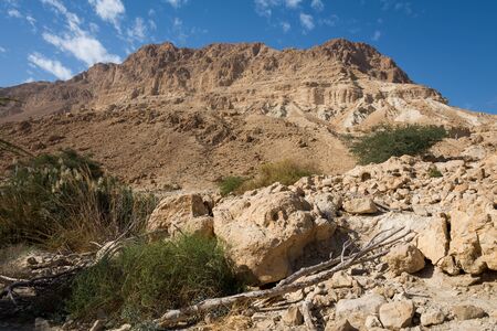 Ein Gedi National Park at Southern Israel, during winterの写真素材