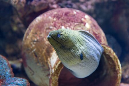 At Israel Aquarium in Jerusalem