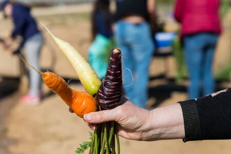 At The Salad Trail in Southern Israel