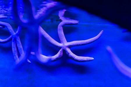 At Israel Aquarium in Jerusalem
