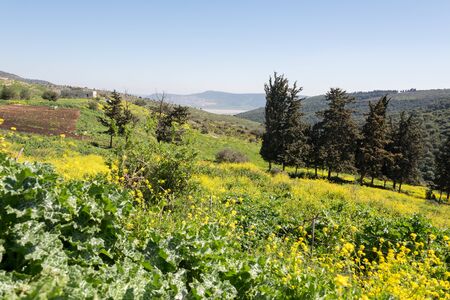 Tel Yodfat National Park, Israel