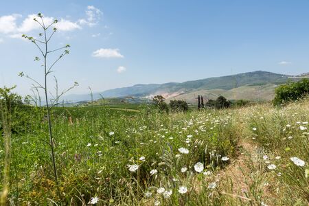 Ayun River Nature Reserve in northern Israelの写真素材