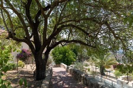 Visiting Ein Kerem in Jerusalem, Israelの写真素材