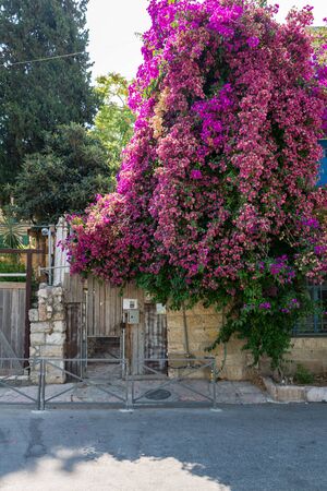 Visiting Ein Kerem in Jerusalem, Israelの写真素材