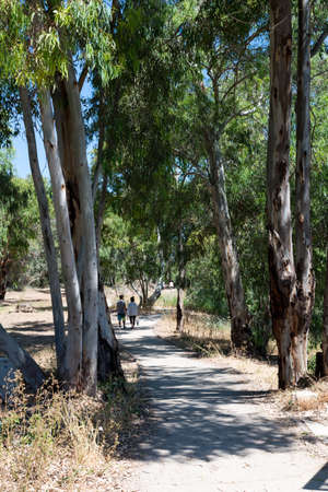 Hiking at Nahal Sorek in Israel