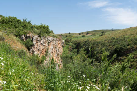 Ayun River Nature Reserve in northern Israelのeditorial素材