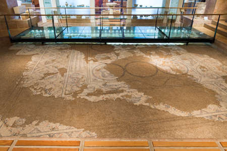 Hecht Museum at Haifa University, Israelのeditorial素材