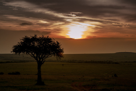 sunset sky in the savannah of africa