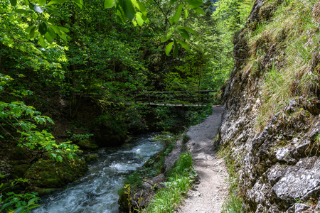 walking along the river in Austriaの写真素材