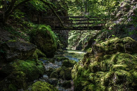 walking along the riverの写真素材