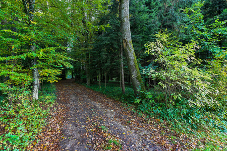 hiking in Mostviertel Austriaの写真素材