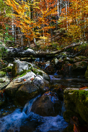 hiking in Mostviertel Austriaの写真素材