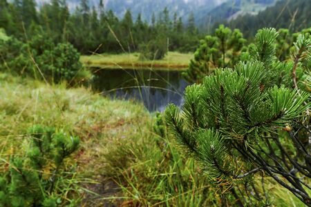 hiking in Mostviertel Austriaの写真素材