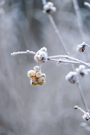 winter hike on the Lunzerseeの写真素材