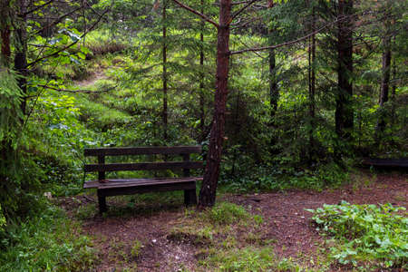 Austria nature park Ãtscher TormÃ¤uerの写真素材