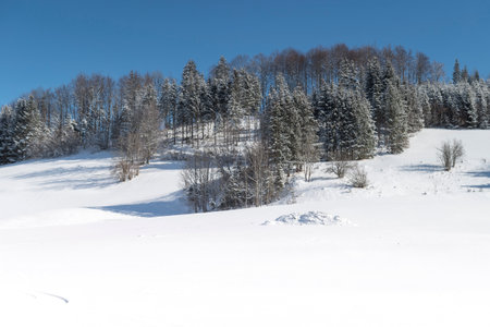 hiking in Mostviertel Austriaの写真素材