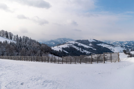 hiking in Mostviertel Austriaの写真素材