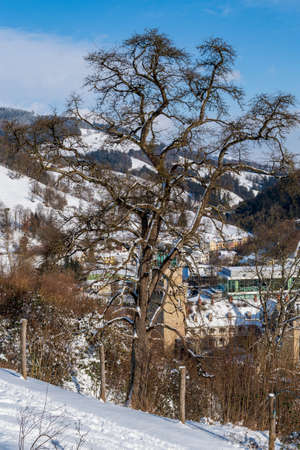 hiking in Mostviertel Austriaの写真素材