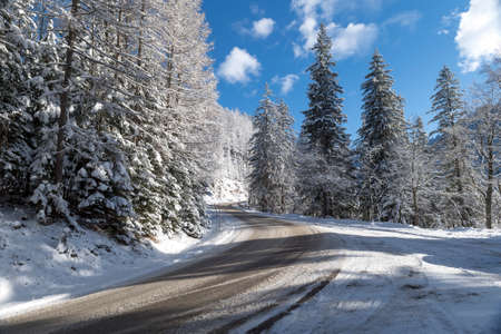 hiking in Mostviertel Austriaの写真素材